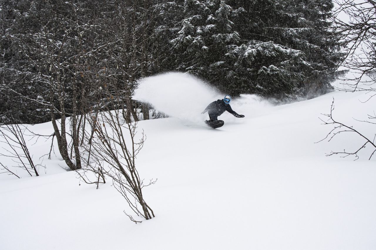 NIDECKER The Gun Snowsurfs - bei brettsport.de