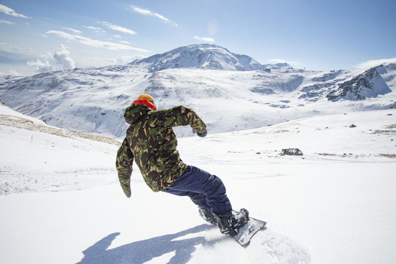 NIDECKER The Mosquito Snowsurfs - bei brettsport.de