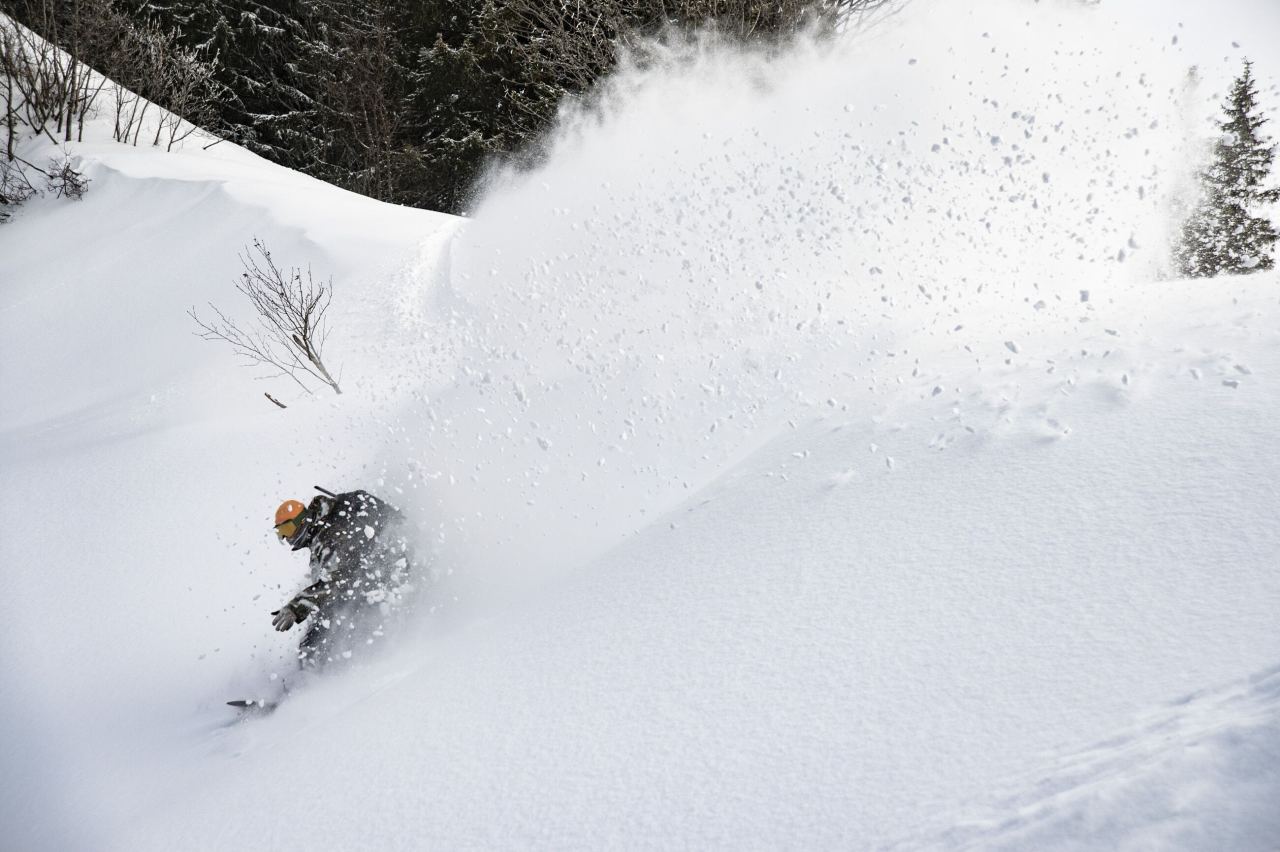 NIDECKER The Smoke Snowsurfs - bei brettsport.de